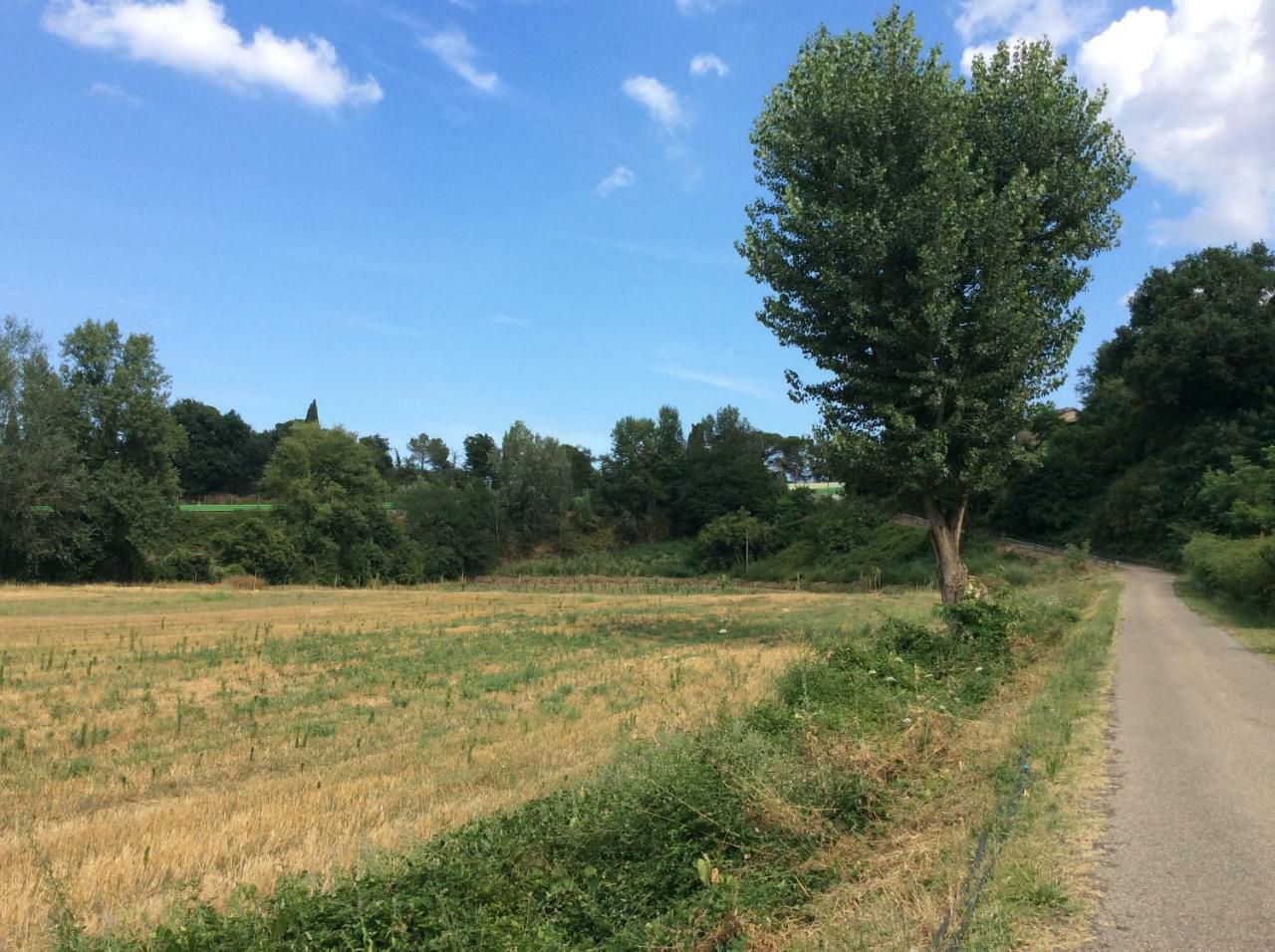 Agriturismo "La Fondazza" Imola Dış mekan fotoğraf