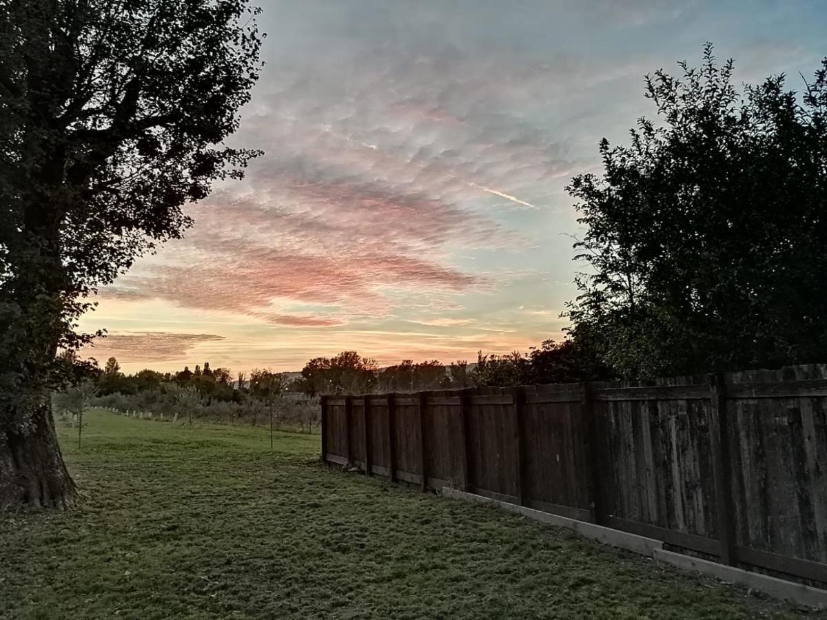 Agriturismo "La Fondazza" Villa Imola Dış mekan fotoğraf