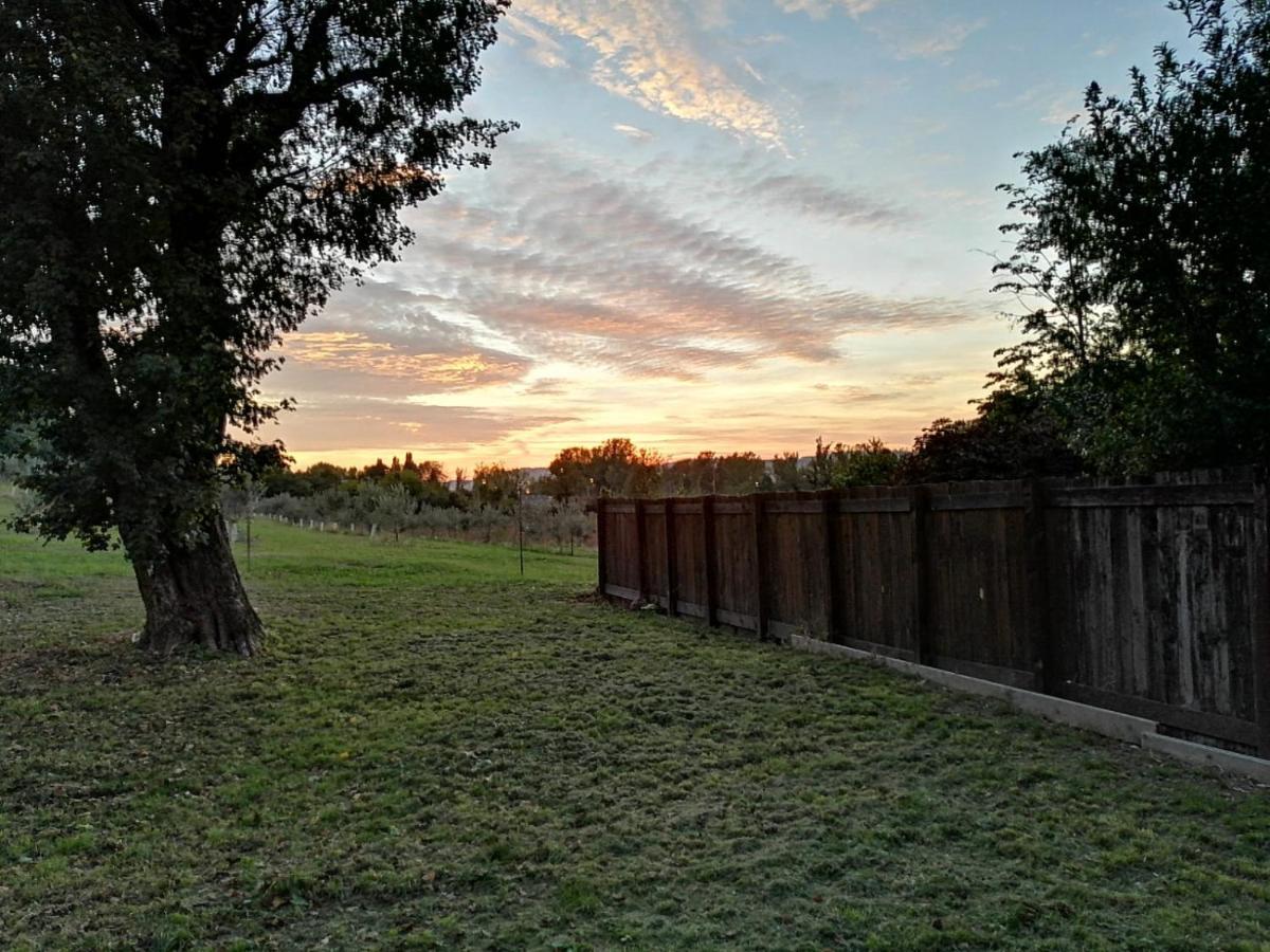 Agriturismo "La Fondazza" Imola Dış mekan fotoğraf